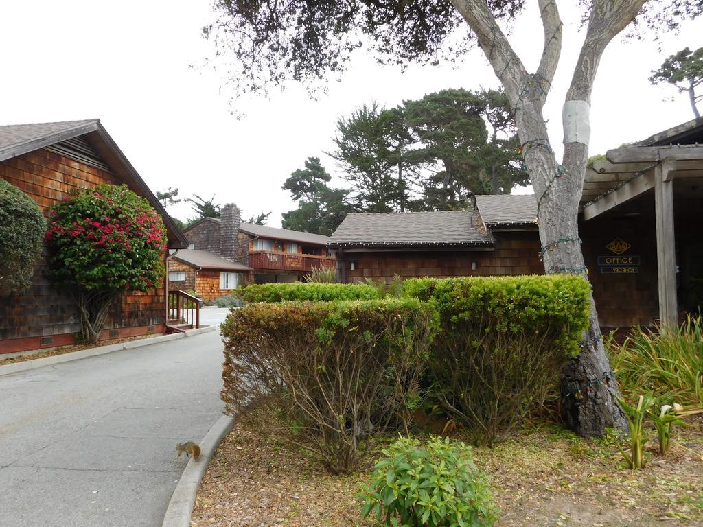 帕西菲克格罗夫亚太花园旅馆住宿加早餐旅馆 外观 照片